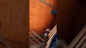 ДЕМОНТАЖ штукатурки советы