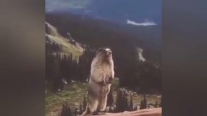 ха ха ха ха ха ха ха ха