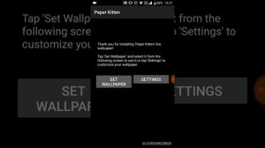 ОБОИ С КОТИКАМИ???КТО ТАКАЯ ПЕПЕР???