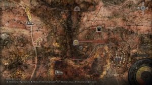 Как быстро фармить руны NG+ в Elden Ring