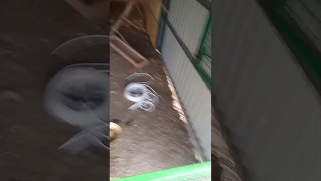 комутация проводов в распред коробке одноклавишный выключатель смотреть онлайн