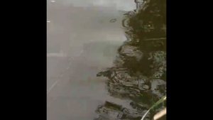 МНОГО РАКОВ на не КИТАЙСКуя РАКОЛОВКУ БАЯН (ГАРМОШКА) от ПОДПИСЧИКА. Ловля раков. Продажа раколовок