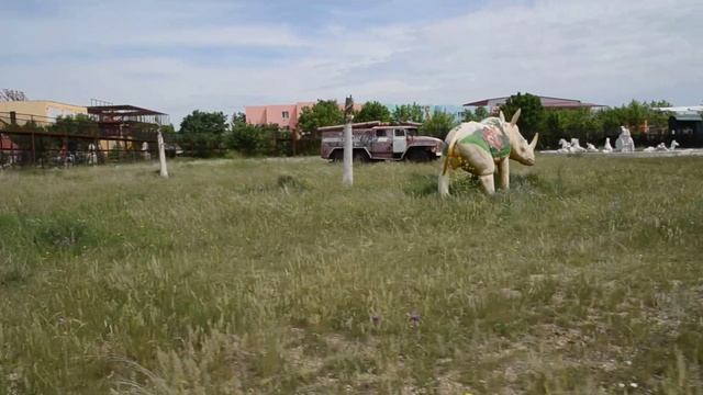 Сафари парк львов Тайган