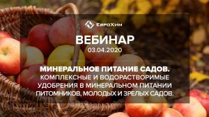 МИНЕРАЛЬНОЕ ПИТАНИЕ ПИТОМНИКОВ, МОЛОДЫХ И ЗРЕЛЫХ САДОВ.