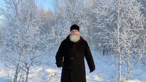 Трудник. Рассказы сельского батюшки