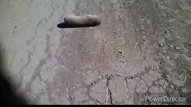 Мы увидели крота смотреть онлайн