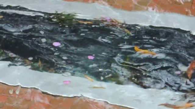 Nikon P310: teste de vídeo смотреть онлайн