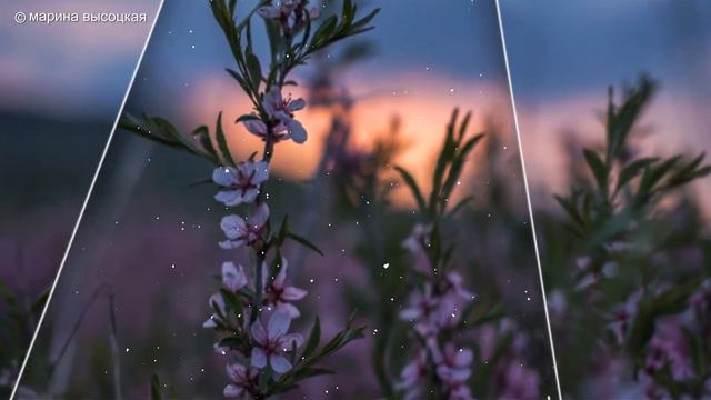 ВЕСЕННИЕ ЗАРИСОВКИ ПРИРОДА ВЕСНОЙ