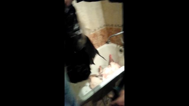 Вкусна жрать 2: разделать труп животного смотреть онлайн