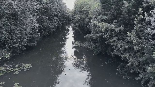 VID 20220709 211932 Миры летят... 1912 (А. Блок)...Павел Васильев Лахтинский смотреть онлайн