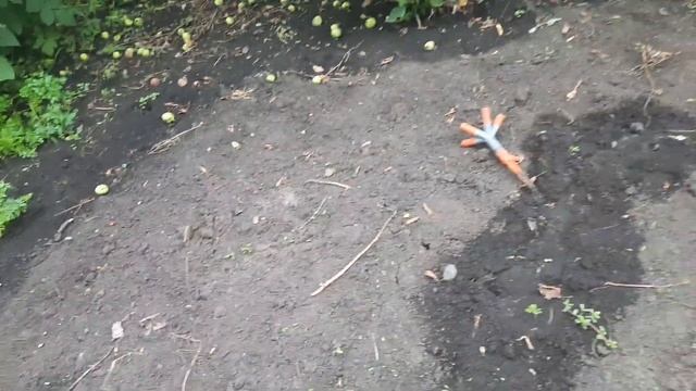 Мои полисадники и как я за ними слежу смотреть онлайн