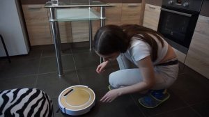 Короче говоря, я робот пылесос 2