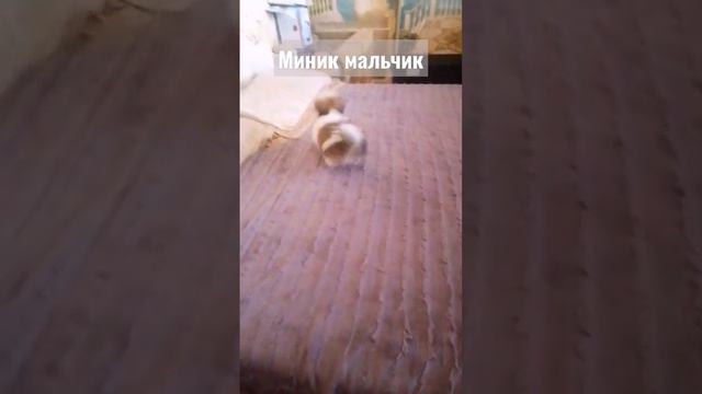 Магнит проблем .. смотреть онлайн