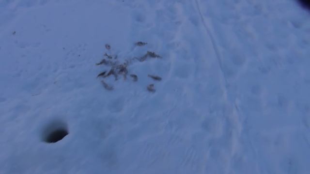 Жидкое стекло на бетонный пол, проверим рыбу смотреть онлайн