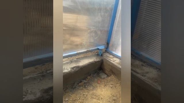 Теплица из поликарбоната своими руками смотреть онлайн