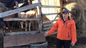 Моя ферма. Начинающим коневодам