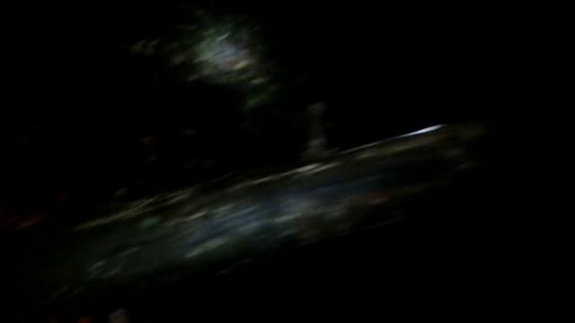 В ТАЙГУ ЗА ОСЕННИМ НАЛИМОМ. ТЫ ДА Я ДА МЫ С ТОБОЙ! СЕНТЯБРЬ 2017! смотреть онлайн