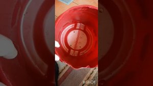 Кашпо для петунии из пластиковой канистры.