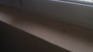 Челябинский лифт с таблом ELM! Лифт (ЧЛЗ 2017 г.в) г. Тюмень, ул. Беловежская 17, подъезд 1