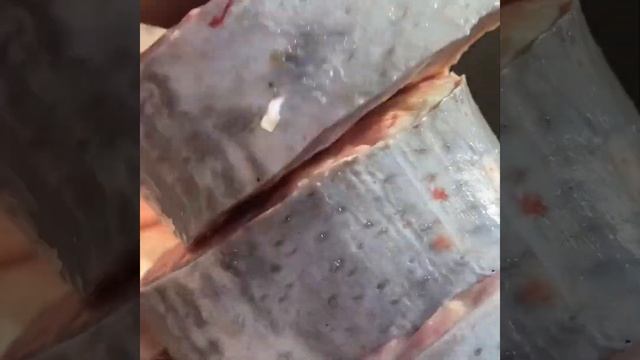 Стерлядь 7кг мариновка для шашлыка от Бабаяна Асатура смотреть онлайн