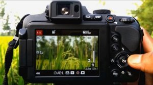 Nikon coolpix B700 P900 B500 Best Focus (MF V AF) Setting  For video Shooting Tutorial