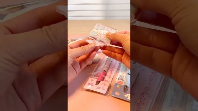 Cute Sanrio Unboxing Haul? My Melody? Cinnamoroll? Kuromi? #sanrio #unboxing #haul смотреть онлайн