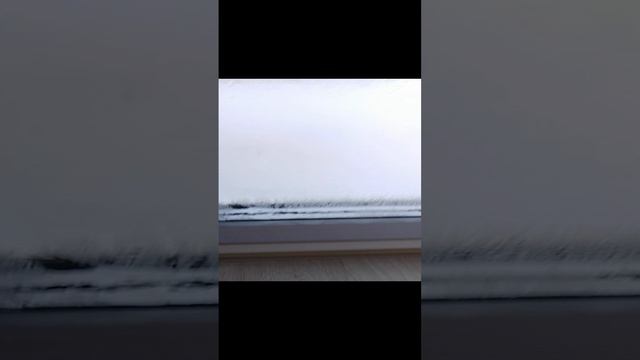 1000001054.mp4