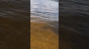 Моя борьба с недостатком мощности... купил винт 4х9-1/4х10 часть 1.