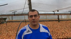 ОСНОВНЫЕ ПОНЯТИЯ ПРИ ВЫРАЩИВАНИИ ЛУКА НА ПЕРО .ТОНКОЕ ПЕРО, ТЕМПЕРАТУРА, КАЛИБР, ВЕС.