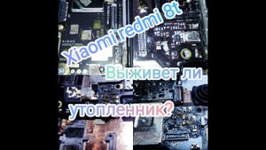 Xiaomi Redmi 8T - выживет ли утопленник после чистки?