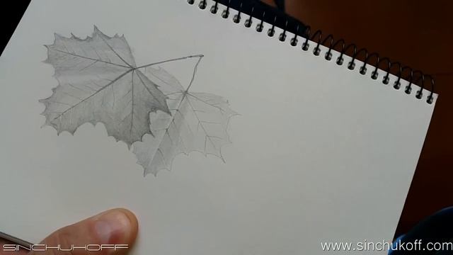 Рисуем Листья клена смотреть онлайн