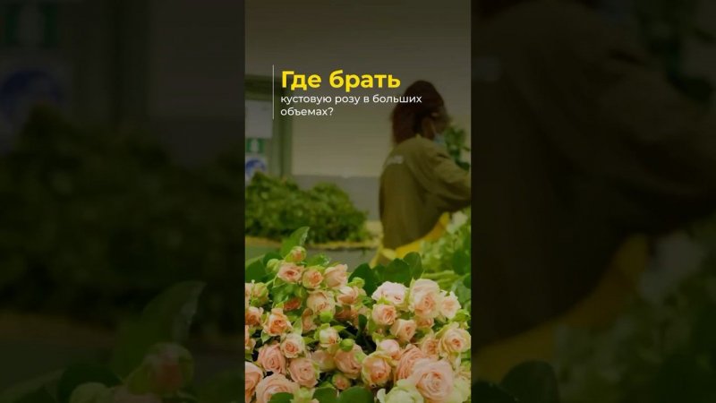 Плантация Sky Flowers