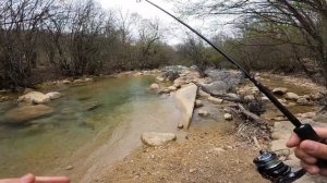 Ловля форели в Крыму