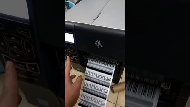 Demo Printer Zebra ZT230