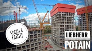 Солнечный осенний день. ЖК Symphony 34 | Башенный кран POTAIN | LIEBHERR.  Tower crane in TimeLapse