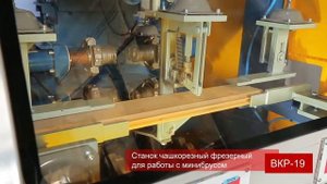 СТАНОК ЧАШКОРЕЗНЫЙ ФРЕЗЕРНЫЙ ДЛЯ МИНИБРУСА ВКР-19