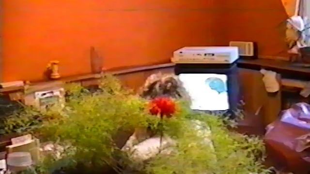 ДК 16+ул. 22.07.1996.mp4 смотреть онлайн