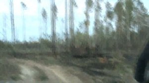 Покатуха на оз  Мостовое, Тюменский пикап клуб