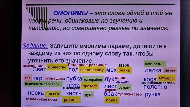 омонимы и их разновидности