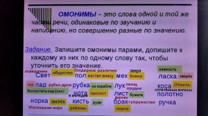 омонимы и их разновидности