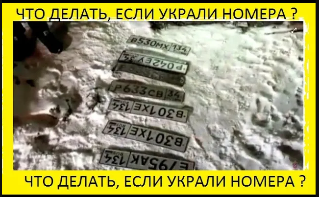 Украли автомобильные номера. Что делать