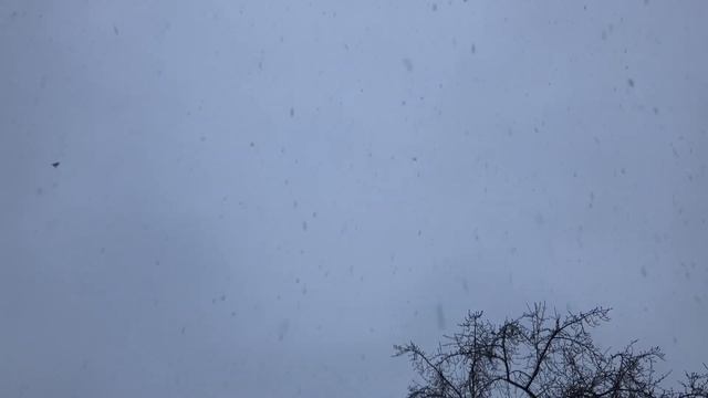 Самое главное – сказку не спугнуть смотреть онлайн