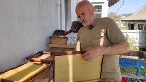 Как наващивать пчелиную рамку ( советы начинающему пчеловоду)