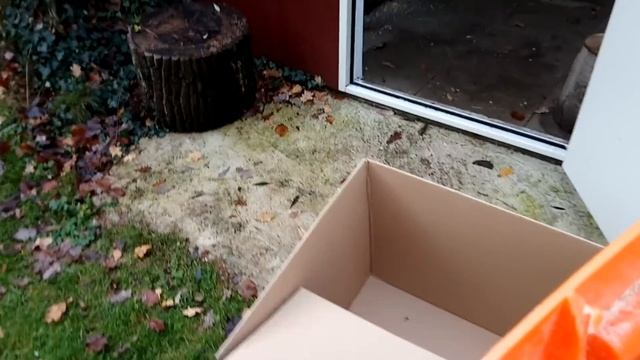 Отсадка крольчат в 50 дней. Иерархия среди крольчат. смотреть онлайн