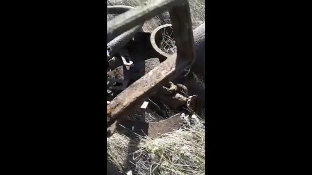 Металлокоп.mp4
