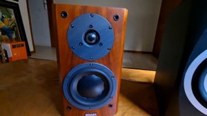 Dynaudio focus 110 short sound test