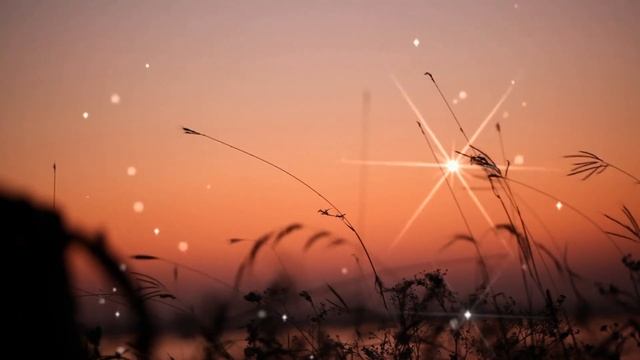 Романтичное пожелание Спокойной ночи! ⭐???????????????????????????????