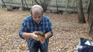 Семерной Воппер vs Левон Завенович