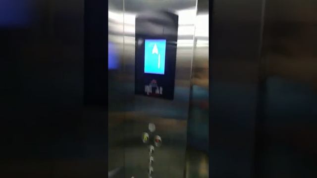 Пассажирский лифт SL Elevator (КНР), без машинного помощения, дизайн кабины из нержавеющей стали смотреть онлайн