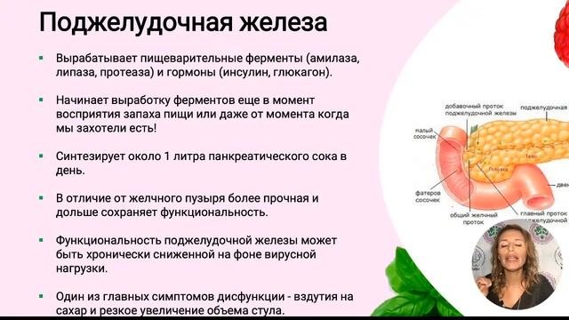 БИОХИМИЯ ПИЩЕВАРЕНИЯ.. День 2. Нижний этаж пищеварения. Желчный пузырь.